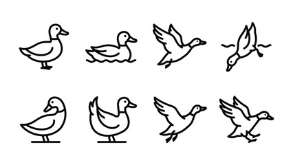 Obraz premium Duck Icon Set: A collection of simple line art icons showcasing ducks in various poses, including standing, swimming, flying, and diving.