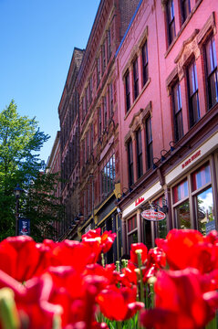Saint John, NB &mdash; Jun. 19, 2018: A Tim Hortons storefront at 30 King Street sits beneath historic brick buildings, framed by red flowers in Uptown Saint John.
