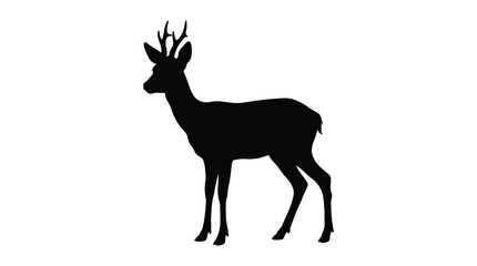 Fototapeta premium Roe deer silhouette stands against a white background a detailed animal form