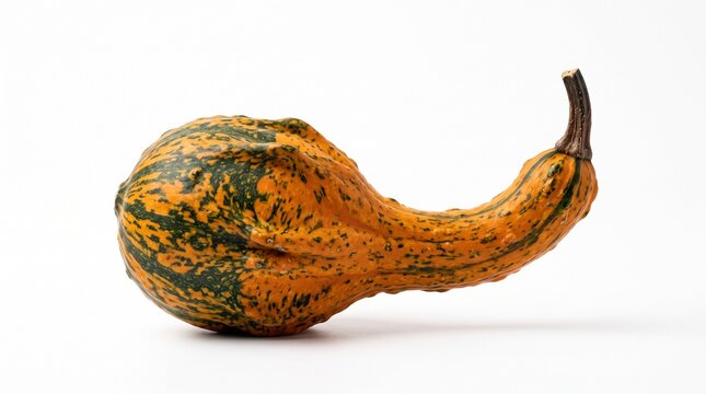 Gourd with orange and green stripes and bumpy texture PNG Isolated on transparent background