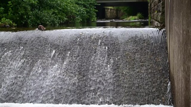Fall season spring flowing water vertical format video, selective focus copy space b roll, background backdrop
