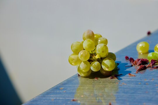 Chenin Blanc