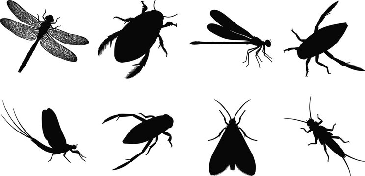Set of black vector silhouettes of water insects, dragonflies, and bugs on white