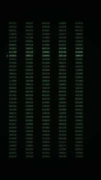 Green binary code scrolling on a dark CRT terminal screen with scanline effect.
