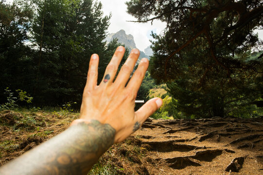 Person reaching out toward a mountain view in the woods