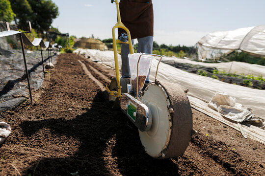 Farmer planting seeds using hand operated seeder