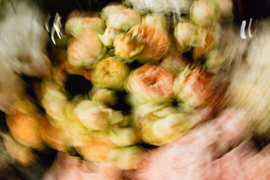 Abstract Flowers in Motion