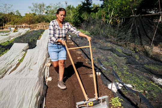 Woman farmer cultivating soil in an organic farm