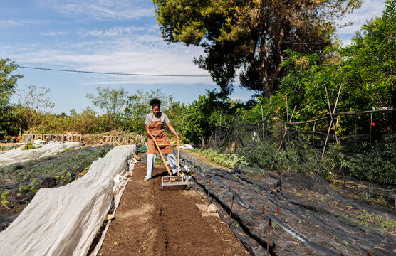 Black woman preparing soil using tiller in organic farm