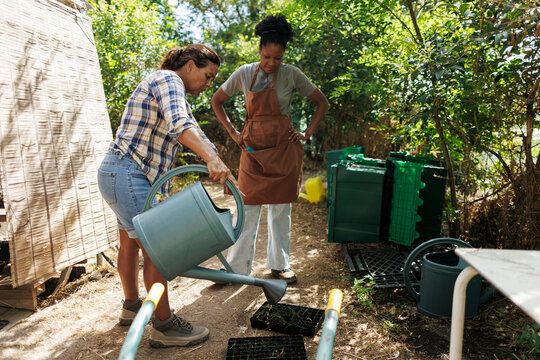 Women gardening together watering plant seedlings