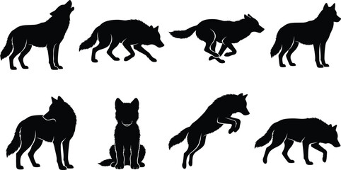 Obraz premium Silhouettes of Wolves in Various Poses Including Howling Running Sitting and Walking Vector Set.