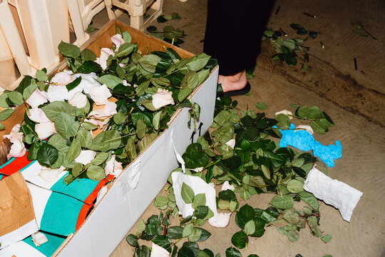 Discarded rose leaves in a flower shop