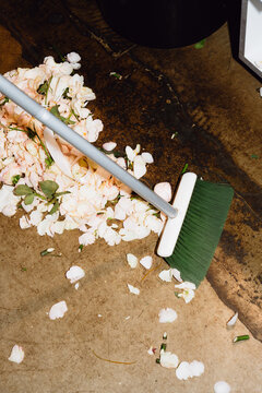 Rose Petals on a Florist Workshop Floor