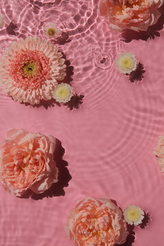 Rose and gerbera flowers swim in water texture on pink background