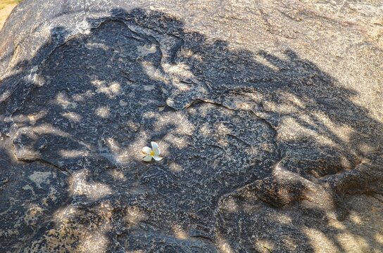 volcanic stone texture