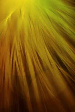 Colorful Abstract Design With Swirling Patterns and Light Effects