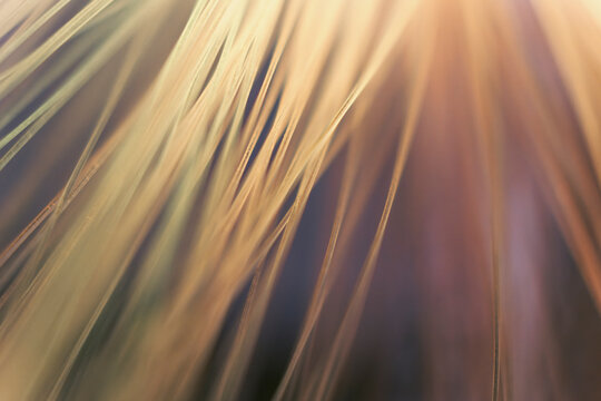 Colorful Light Beams on a Dark Background Create an Abstract Design