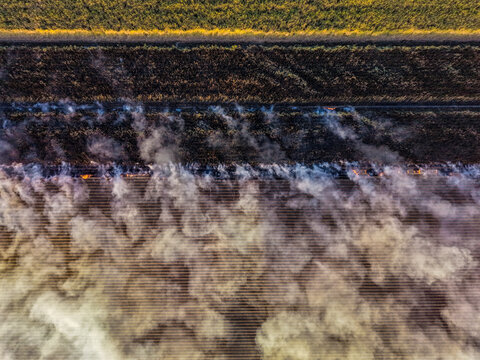 Aerial view of a sugarcane field being burned with thick smoke rising over the charred rows of crops in Home Hill, Queensland, Australia.