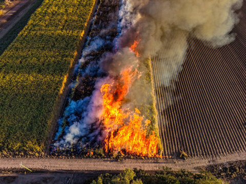 Aerial view of a controlled sugarcane field fire burning with bright orange flames and thick smoke, adjacent to harvested rows and green crops in Home Hill, Queensland, Australia.