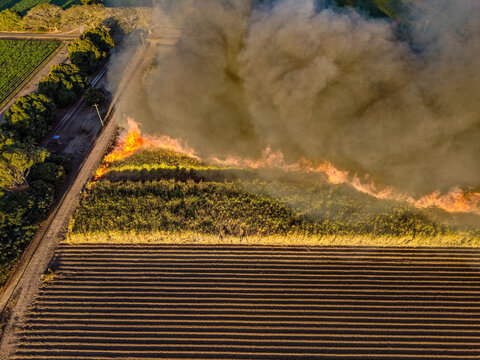 Aerial view of a controlled sugarcane field fire with bright flames and thick smoke rising over agricultural rows in Home Hill, Queensland, Australia.