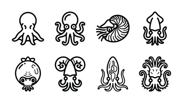 Oceanic Illustrations: A collection of stylized line art featuring various cephalopods, including octopuses, squids, and a nautilus shell, each rendered with intricate detail and whimsical charm.