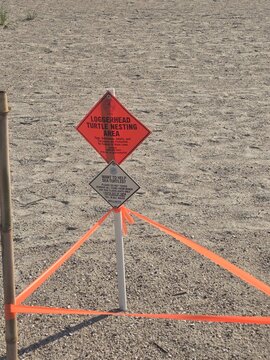 turtle nest warning on beach