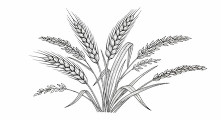 Obraz premium Drawing of wheat stalks and grains with detailed textures