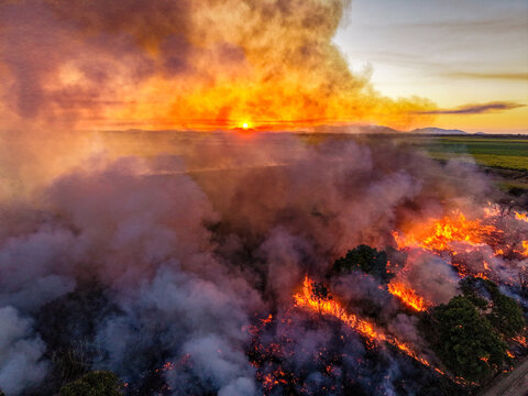 Aerial view of wildfire burning through vegetation at sunset with thick smoke and bright flames in Home Hill, Queensland, Australia.