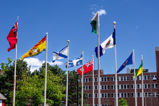 Canadian provincial and territorial flags flying in Saint John