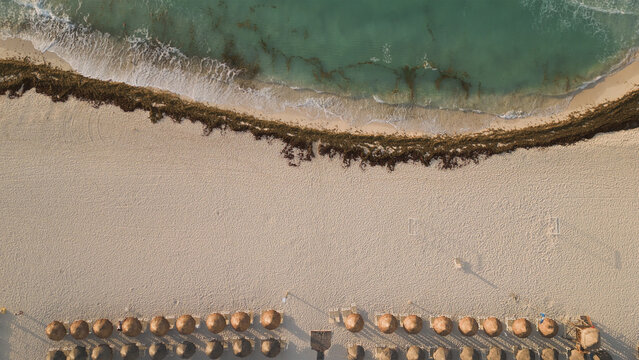 Aerial view of a sandy beach with rows of umbrellas and sargassum seaweed along the turquoise shoreline in Playa del Carmen, Quintana Roo, Mexico.