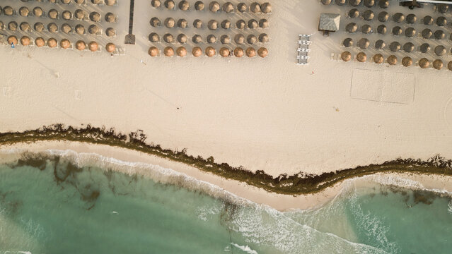 Aerial view of Playa del Carmen beach with rows of straw umbrellas on white sand and sargassum seaweed along the shoreline in Playa del Carmen, Quintana Roo, Mexico.
