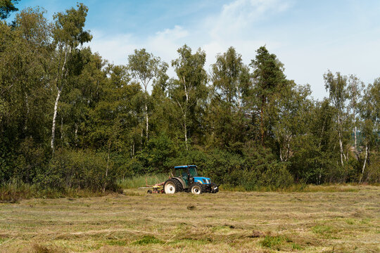 Agricultural blue farm tractor cutting grass in a wide rural field bordered by green birch forest, preparing hay and livestock fodder on a sunny summer day.