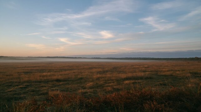Misty autumn meadow at first light with a wide open sky and copy space for travel and nature backgrounds