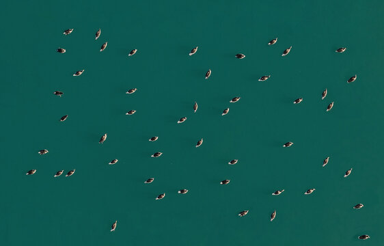 Aerial view of a flock of birds swimming on the calm turquoise water of a lake in Beckum, North Rhine-Westphalia, Germany.