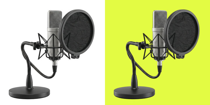Professional studio condenser microphone with pop filter studio equipment