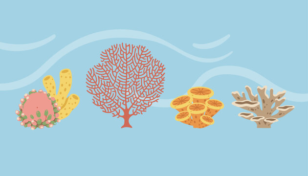 Set of diverse colorful ocean corals and sponges in blue water representing healthy marine life ecosystem.