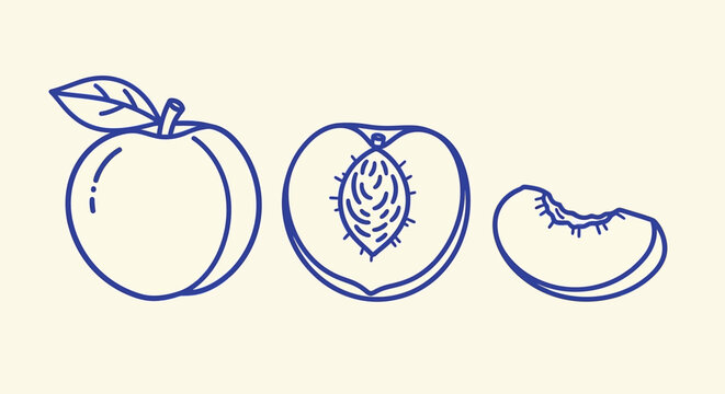Minimalist peach line art illustration, blue outline peach fruit set with whole fruit and slices, organic peach vector icons for food packaging