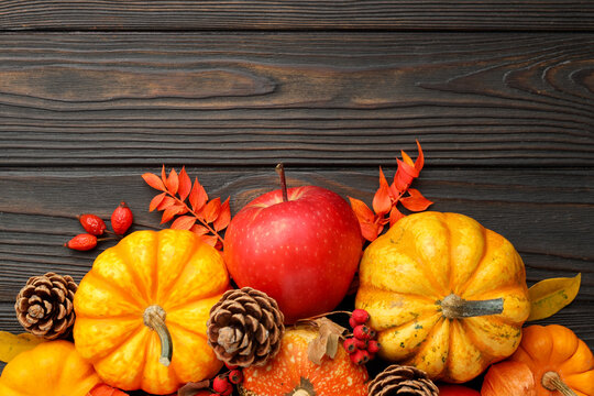 Happy Thanksgiving day. Flat lay composition with pumpkins and pinecones on dark wooden table, space for text