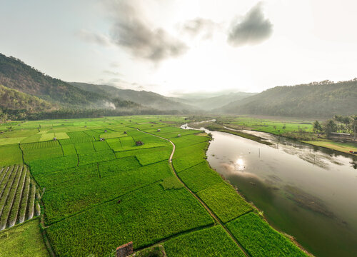 Aerial view of Munjungan Rice Fields with lush green paddies, a winding river, and surrounding hills under a soft morning sky in Munjungan, East Java, Indonesia.