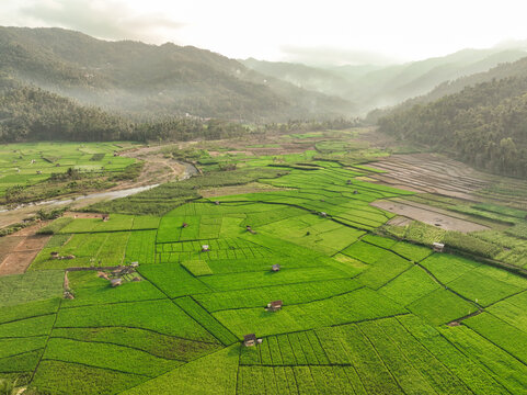 Aerial view of Munjungan Rice Fields with lush green paddies, small wooden huts, a winding river, and misty mountains in the background in Munjungan, East Java, Indonesia.