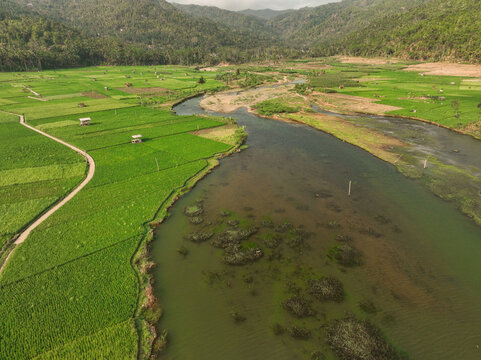 Aerial view of Munjungan Rice Fields with lush green paddies, a winding river, small wooden huts, and forested hills in the background Munjungan, East Java, Indonesia.