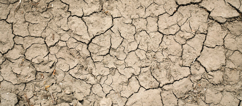 Top view of dry cracked soil surface, drought texture, parched earth with deep cracks and dry ground