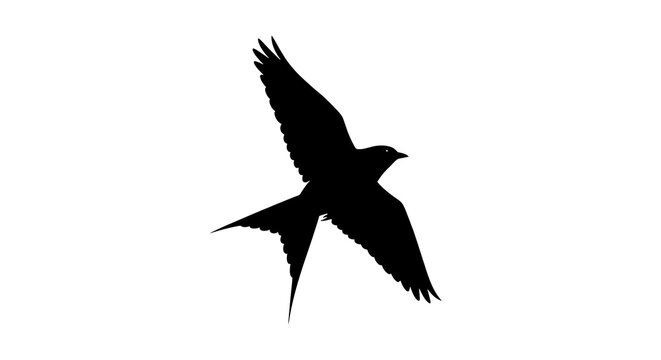 Black silhouette of a flying barn swallow bird