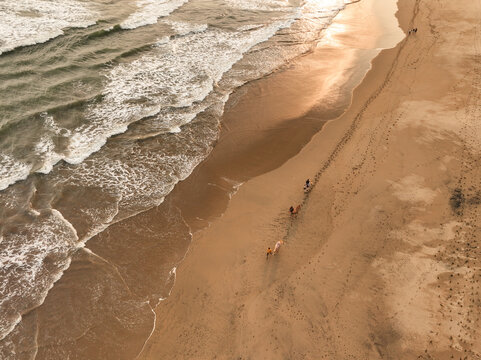 Aerial view of a person riding a horse along the sandy beach at sunset with gentle waves rolling onto the shore, Pacitan, East Java, Indonesia.