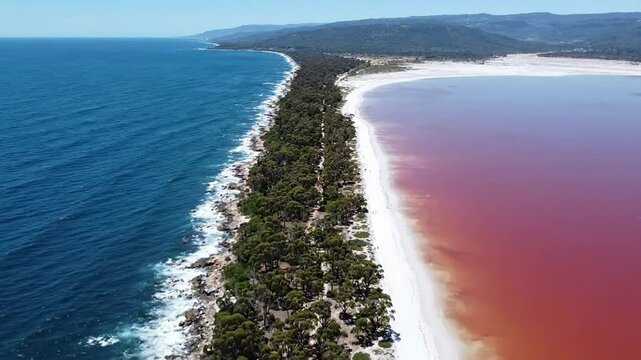 Aerial view of pink salt lake beside blue ocean coastline, natural landscape contrast, australia travel destination