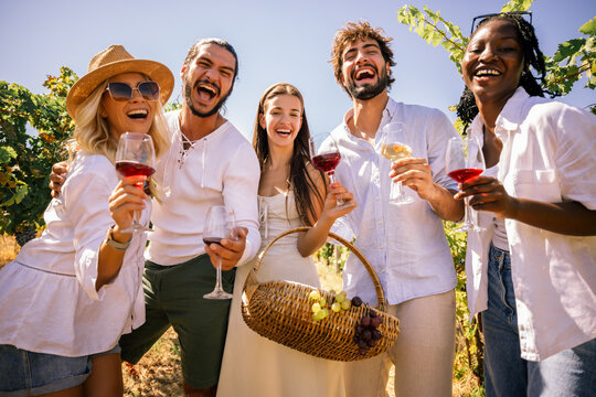 Friends holding wine glasses and laughing together in a sunny vineyard