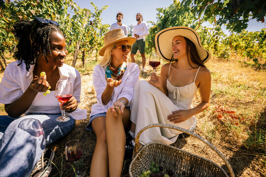 Group of friends enjoying wine together in a sunny vineyard