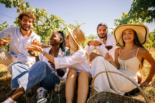 Friends relaxing together with wine in a sunny vineyard