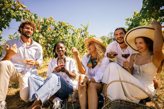 Happy friends sitting together and drinking wine in a vineyard