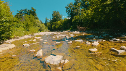 Sunlit riverbed with visible stones and gentle ripples, surrounded by dense green trees, vibrant summer daylight, calm natural atmosphere, ideal for nature themes or travel backgrounds © VeNN